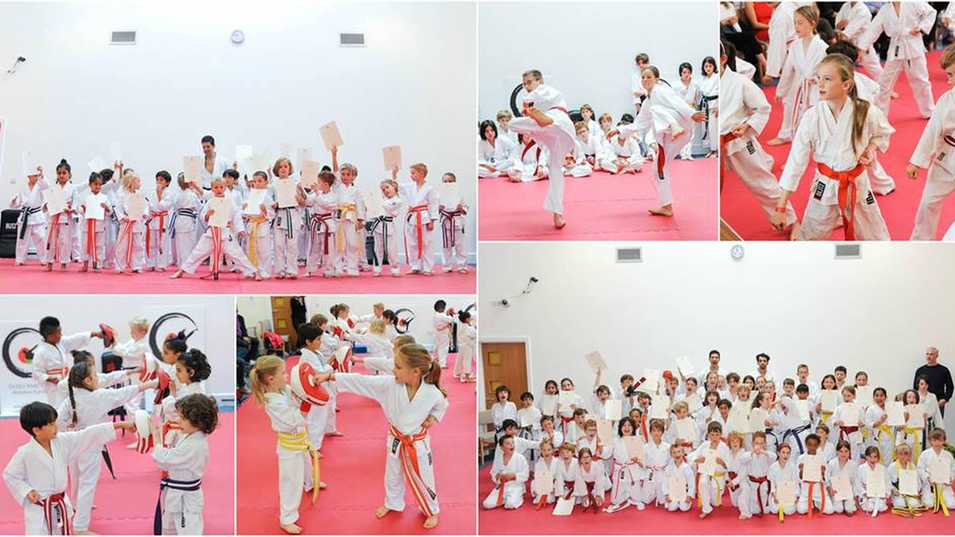 Dojo Van Rel photo