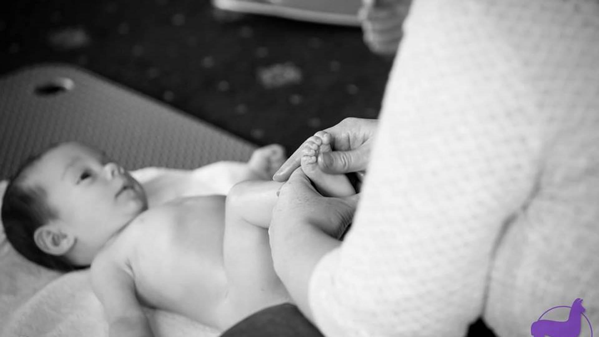 Baby Llama Massage photo