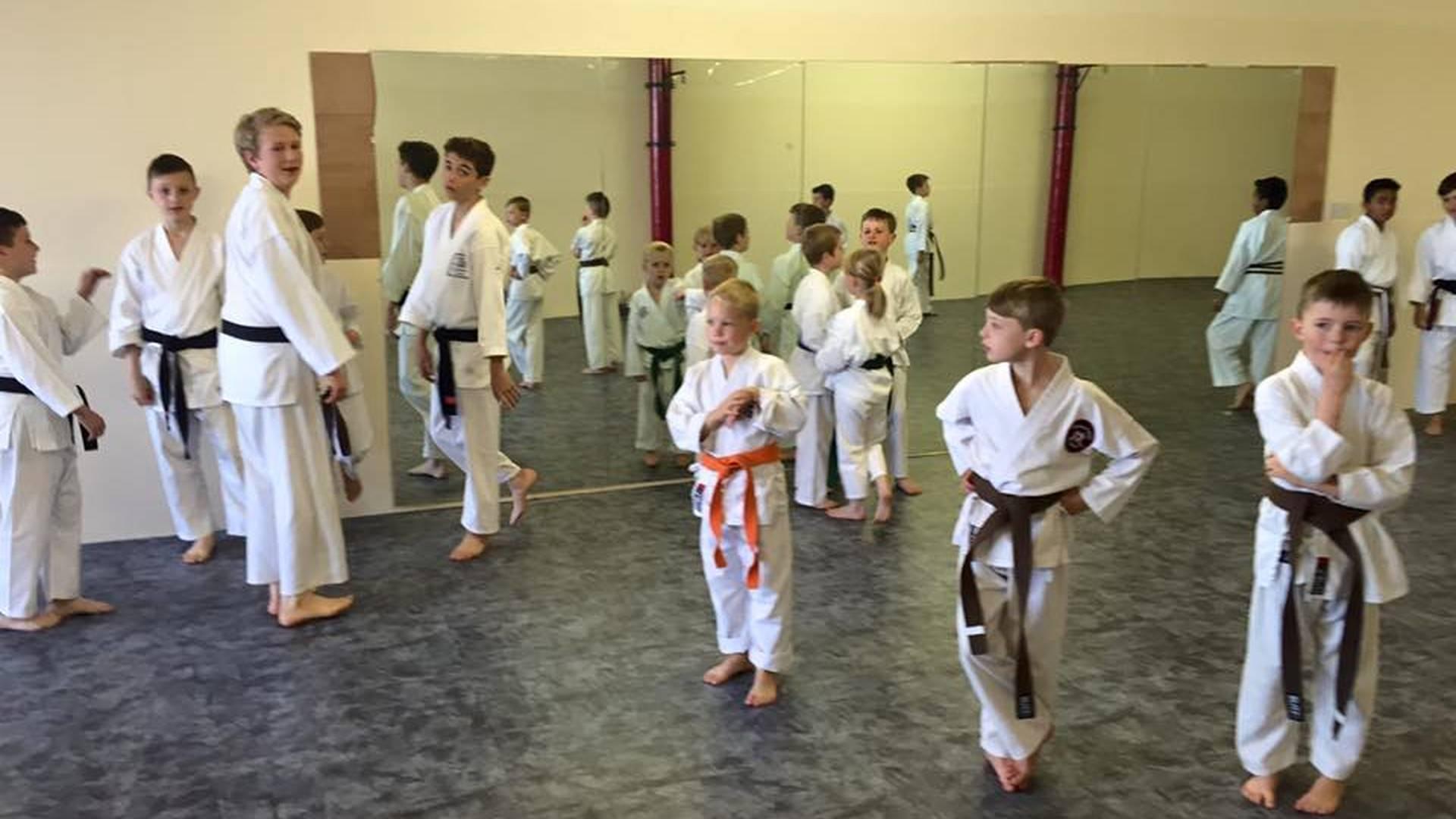 Romiley Karate photo