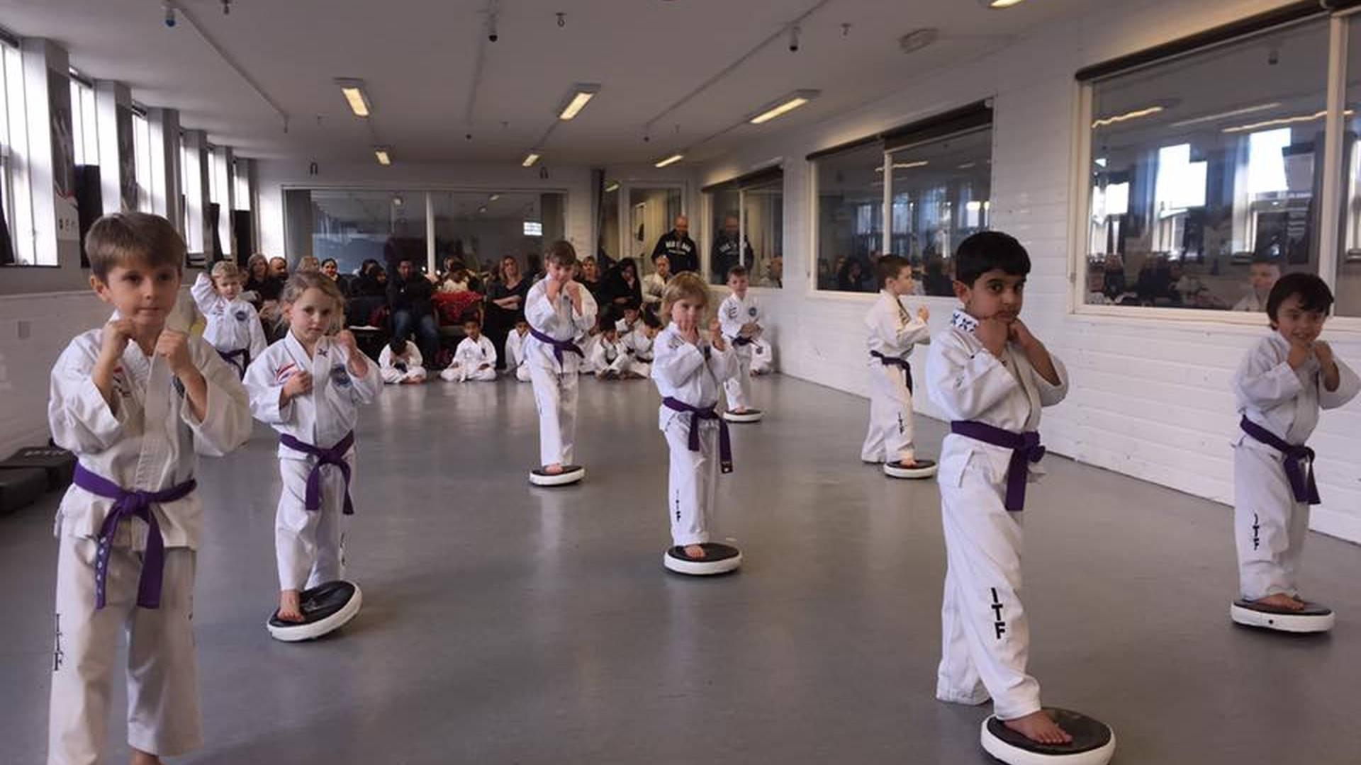 Trenic Taekwon-Do Academy - Hayes photo