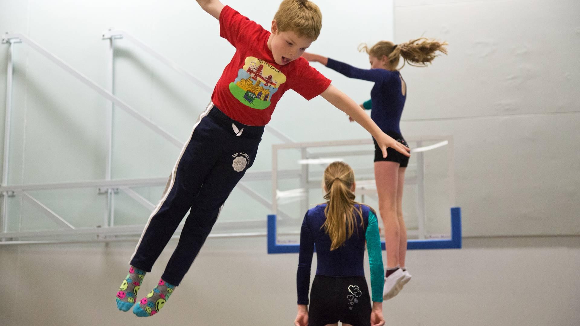 Phoenix Trampoline Gymnastics Club photo