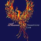 Phoenix Trampoline Gymnastics Club logo