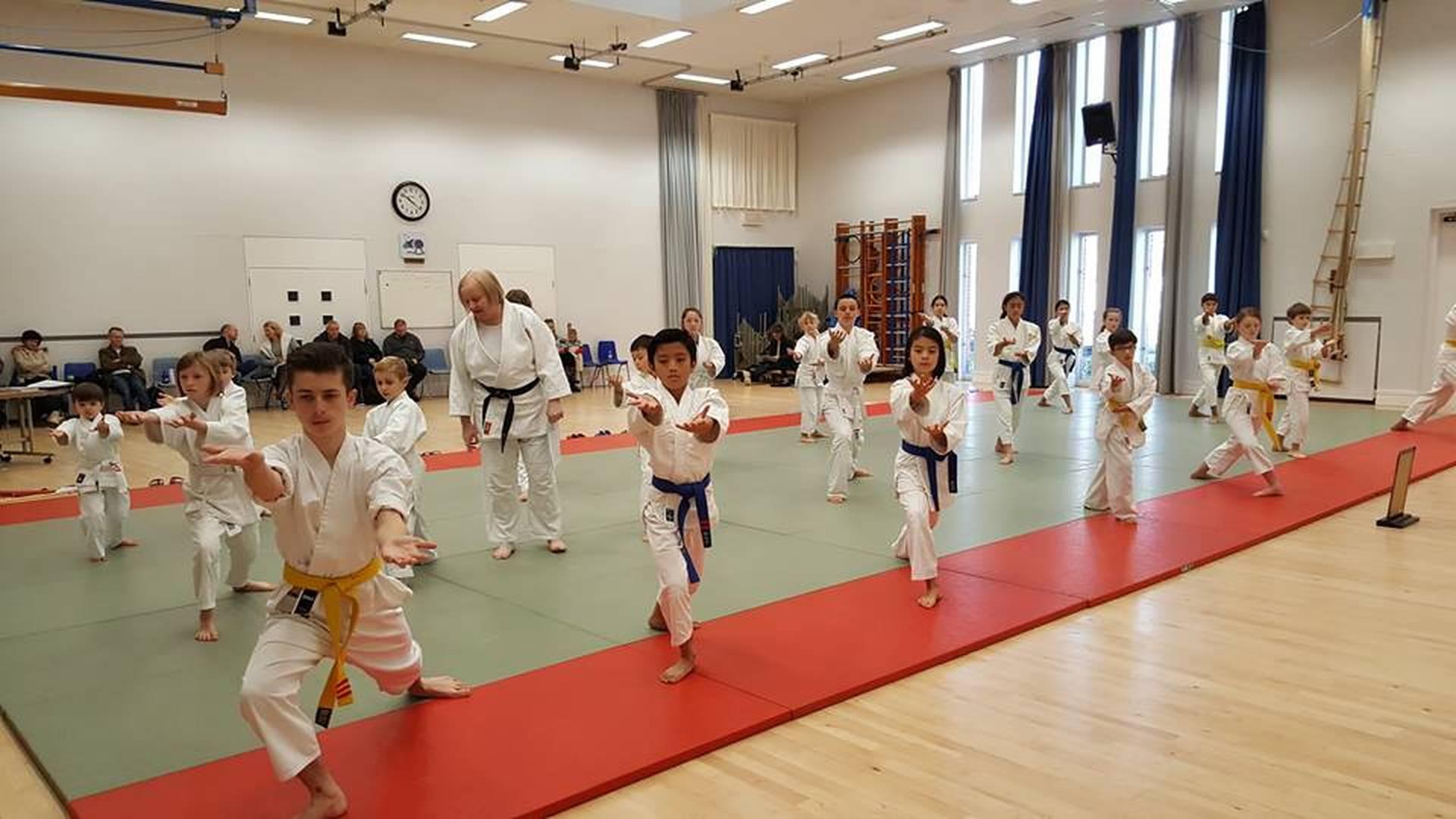 Kenshinkai Yoshinkan Aikido photo