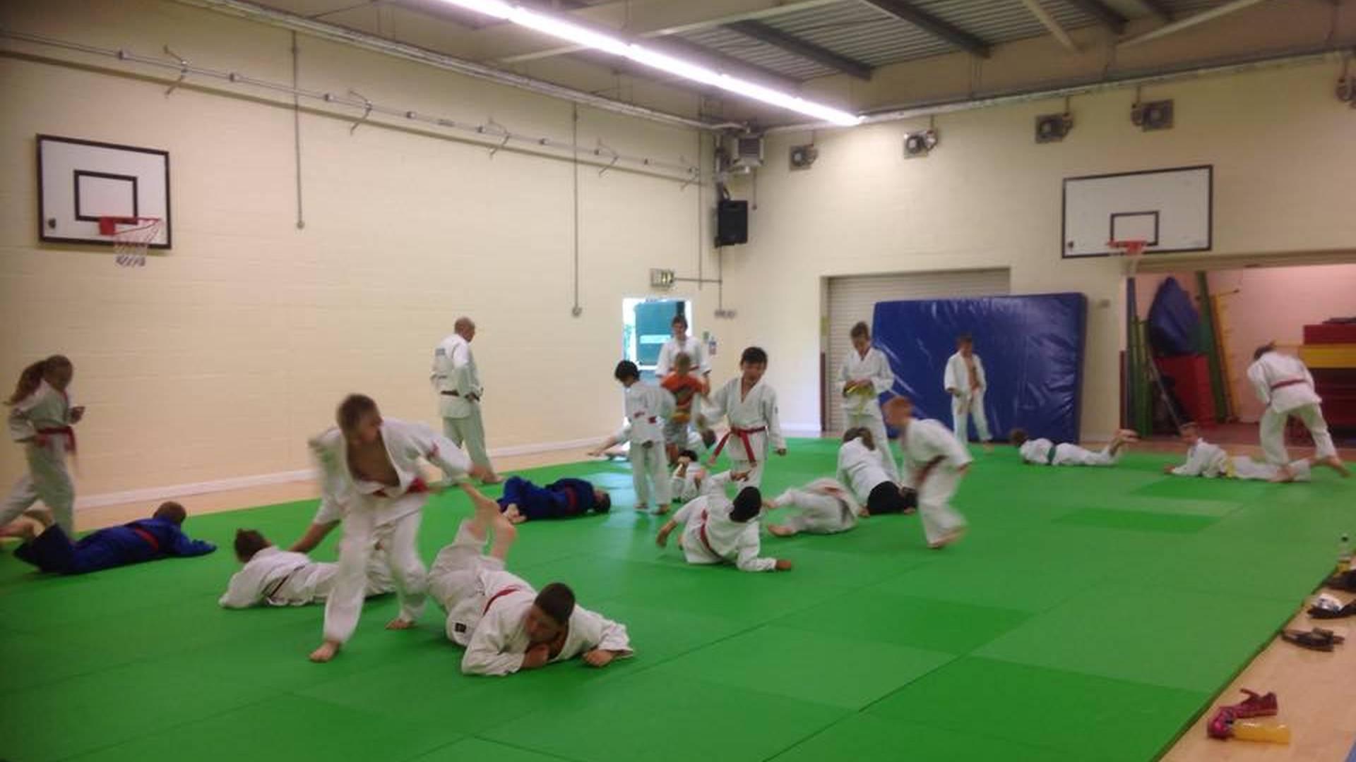 Cobra Judo Club photo