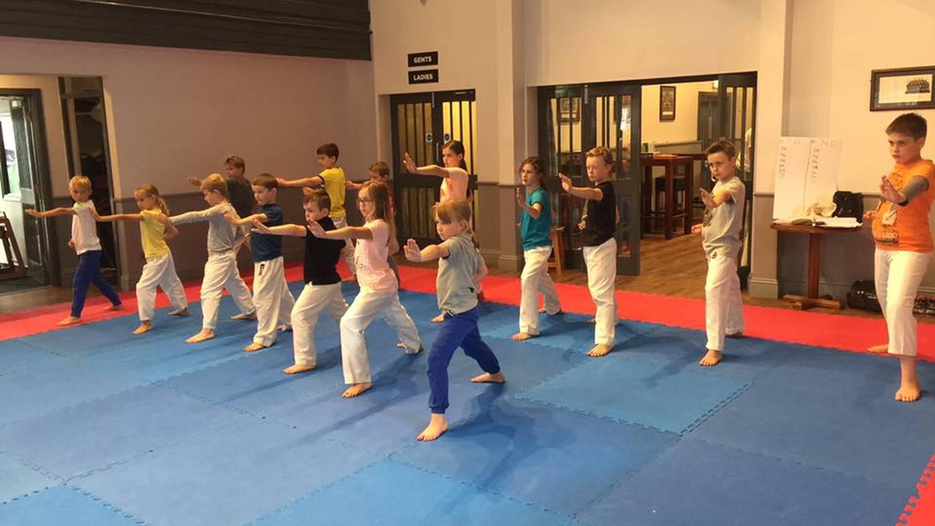 Zetsurin Karate Club photo