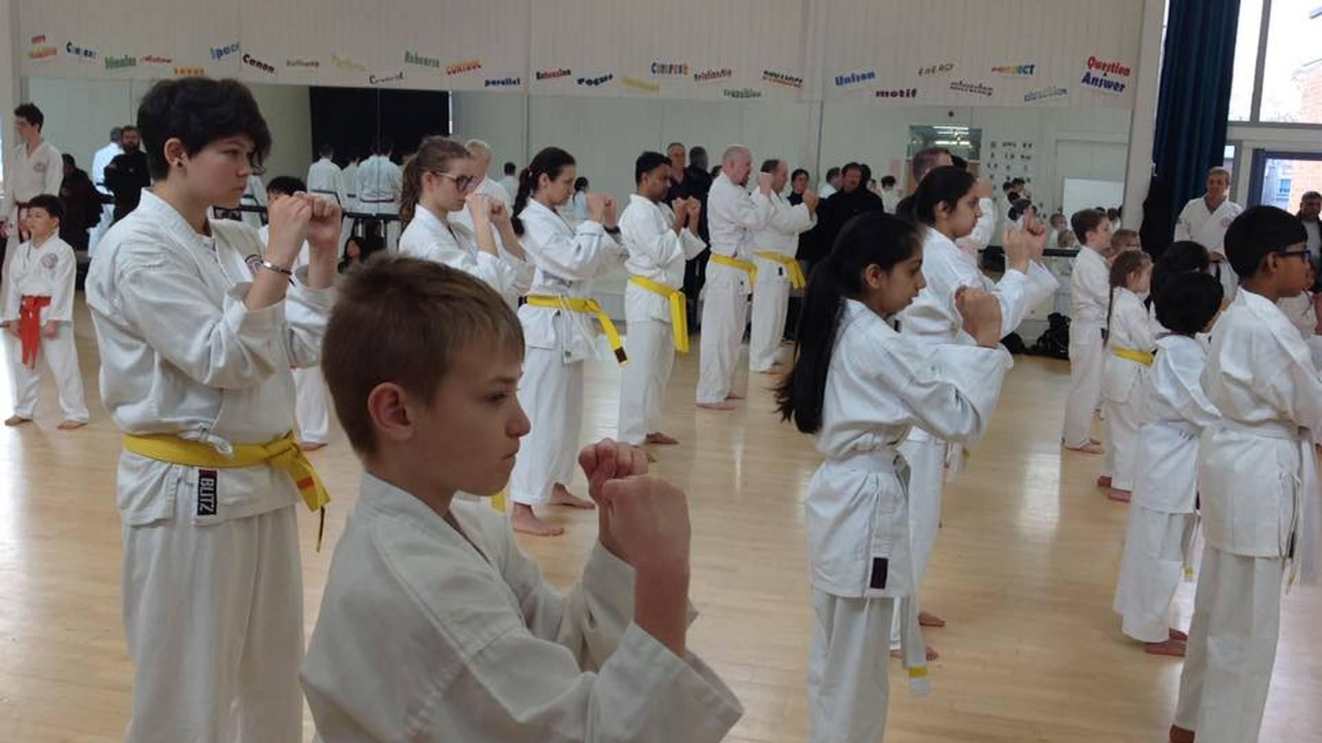 GKR Karate Woking photo