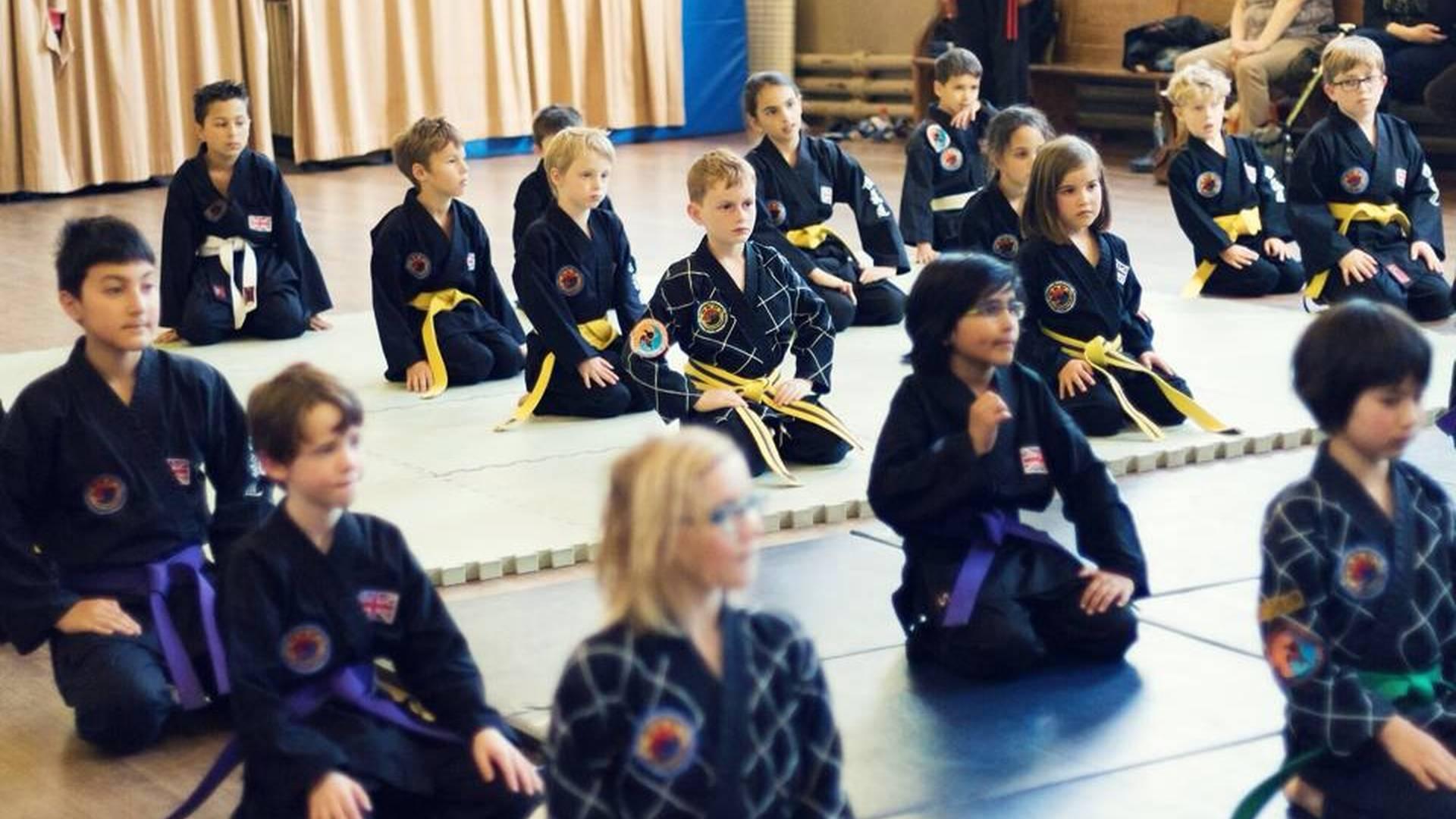 Semokwan Hapkido Academy photo