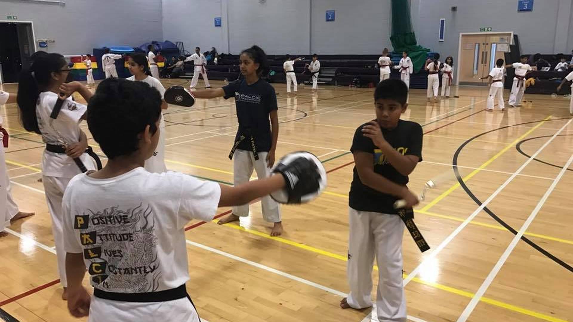 Palcic Taekwondo photo