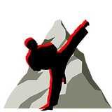 Bozdag Taekwondo logo