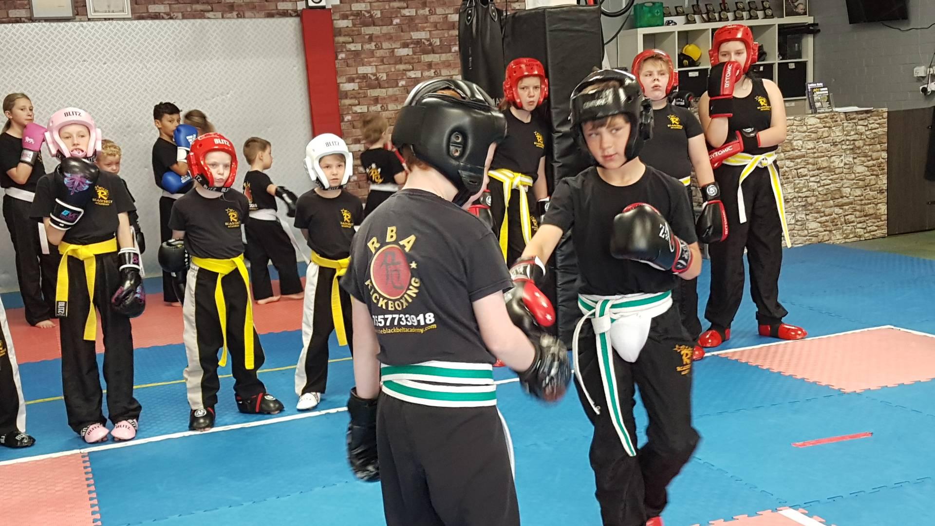 Roche Black Belt Academy photo