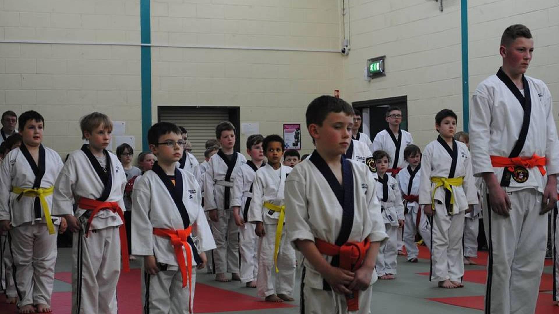 Tullycarnet and Wandsworth JuJitsu Clubs photo