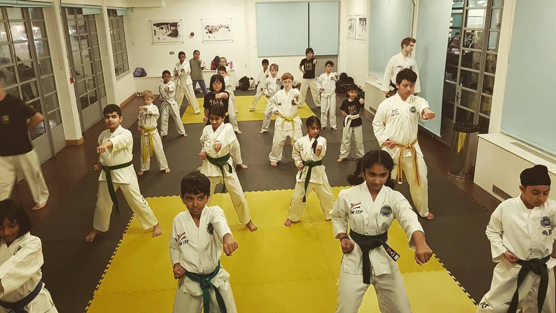 Hollingsworth TaeKwon-Do Seer Green photo