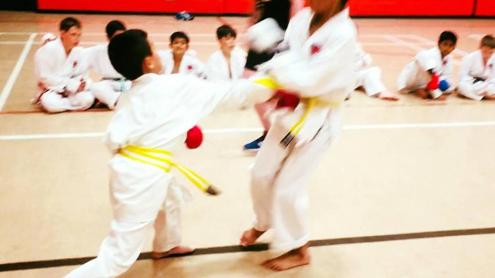 Kingswell Karate Club photo