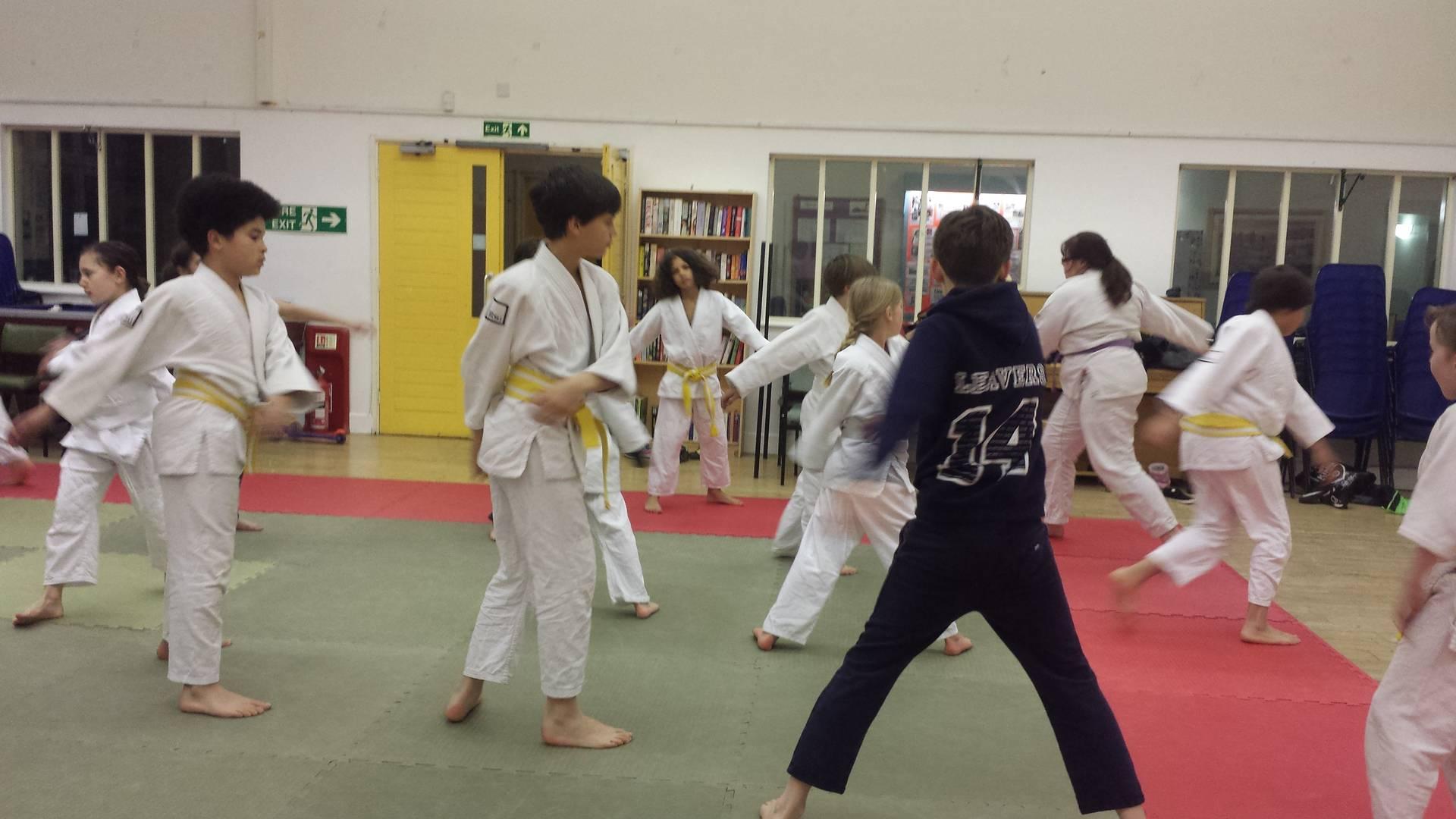 Highbury Jitsu Club photo