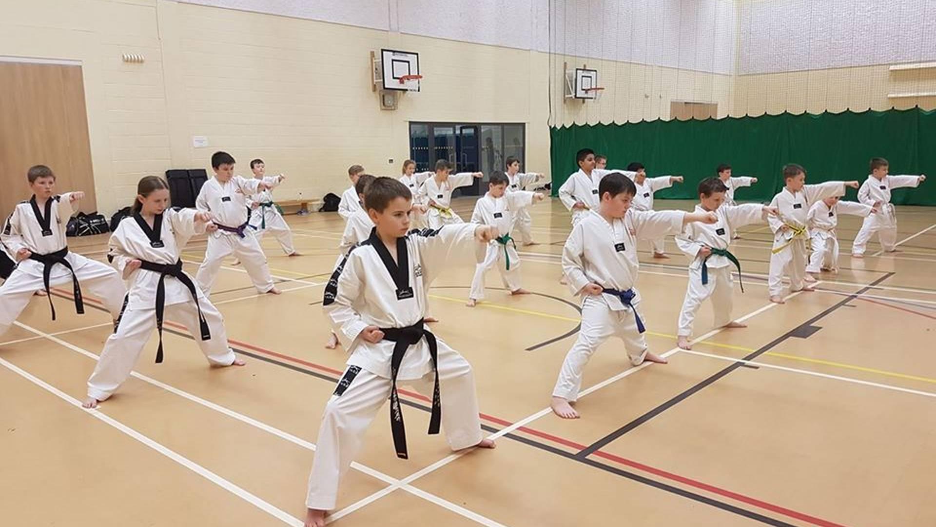 James Reed Tae Kwan Do photo