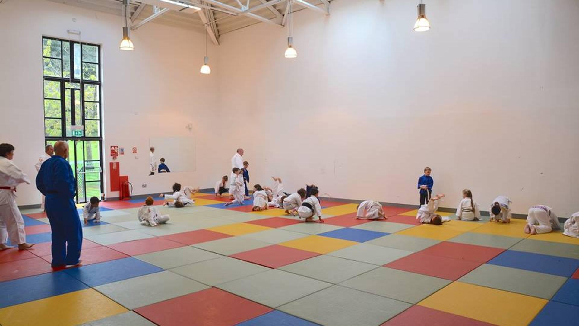 Pro Judo photo