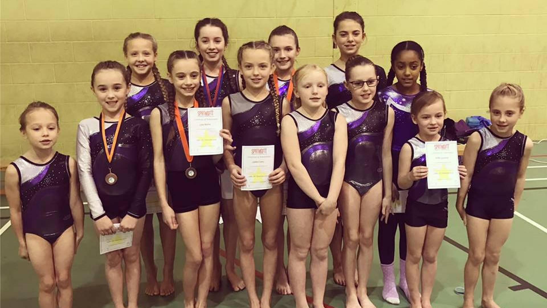 Pointers Gymnastics and Trampoline Club photo