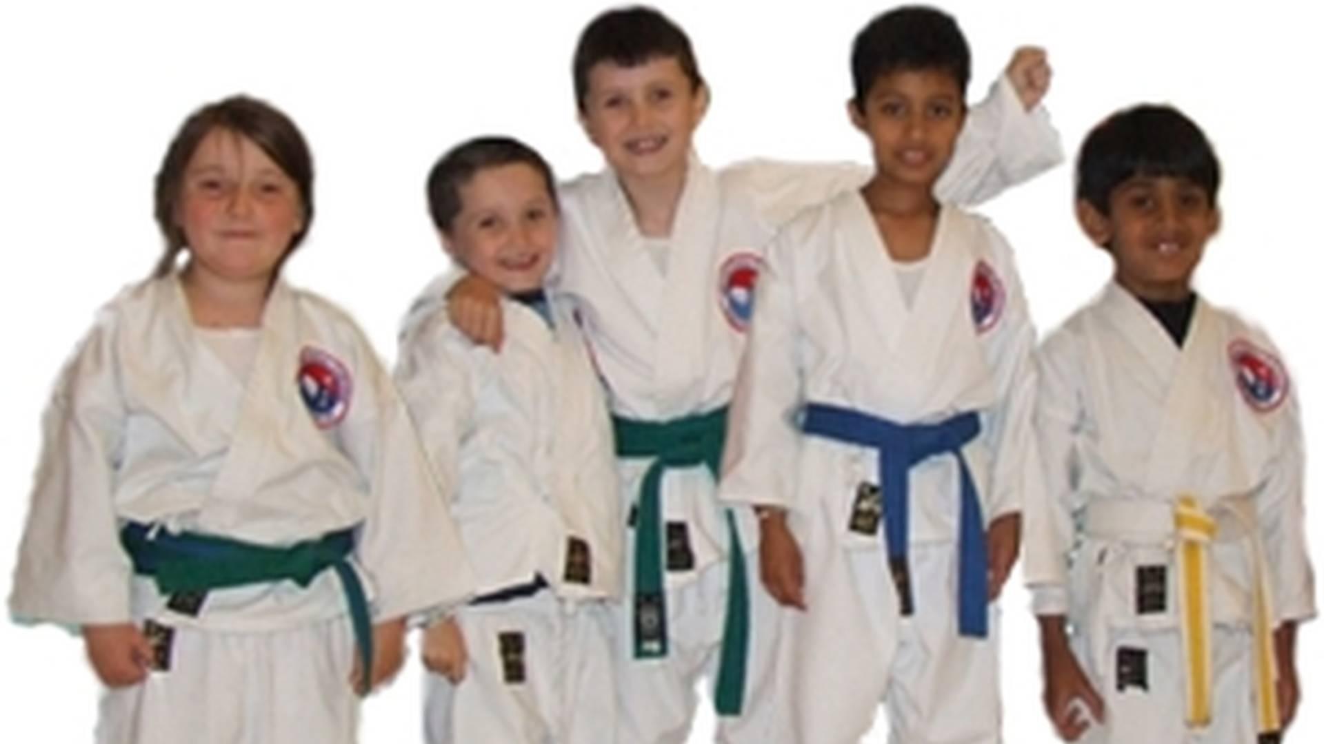 United Taekwon-Do Organisation photo