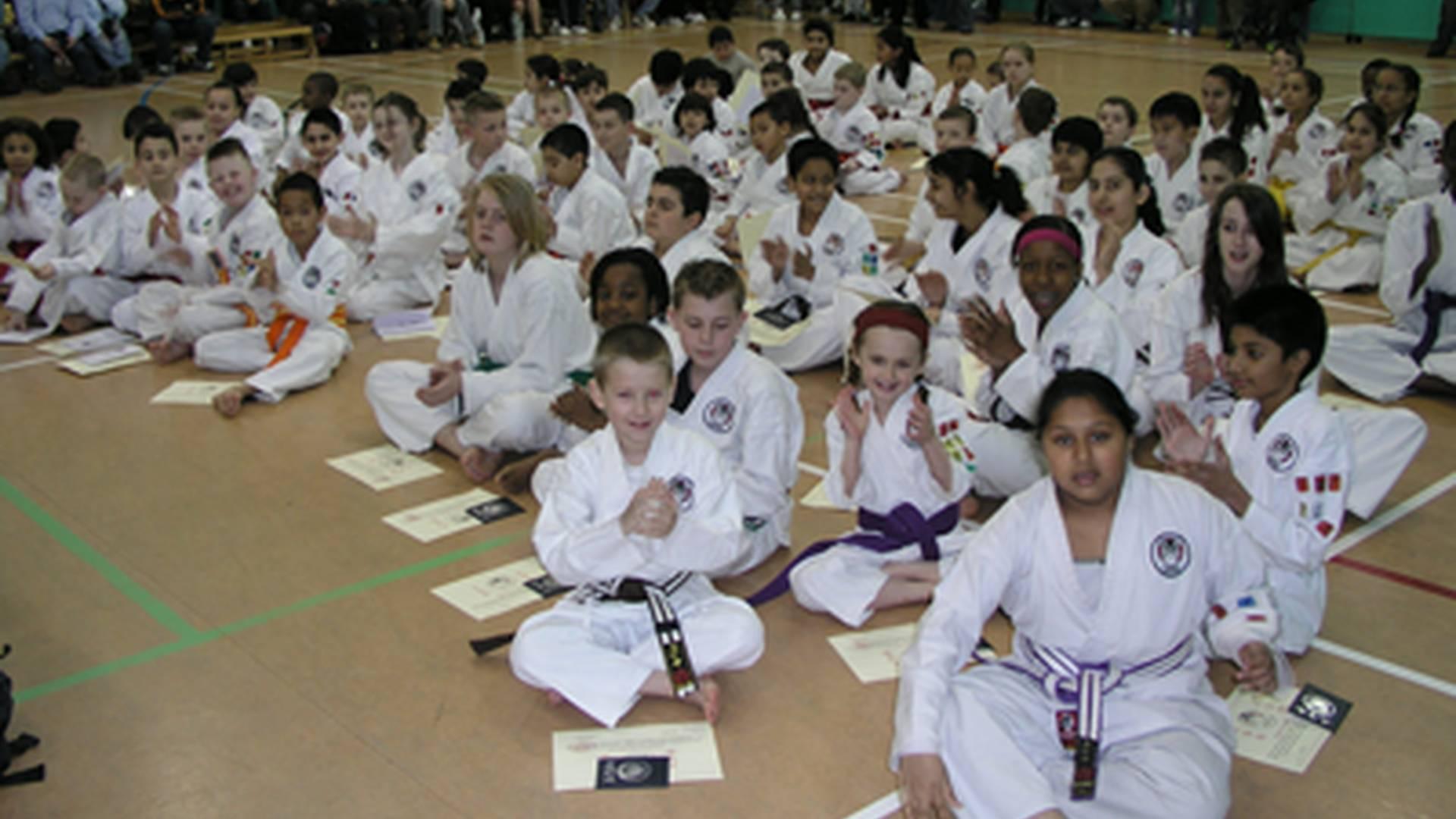Young Tigers Karate Club photo