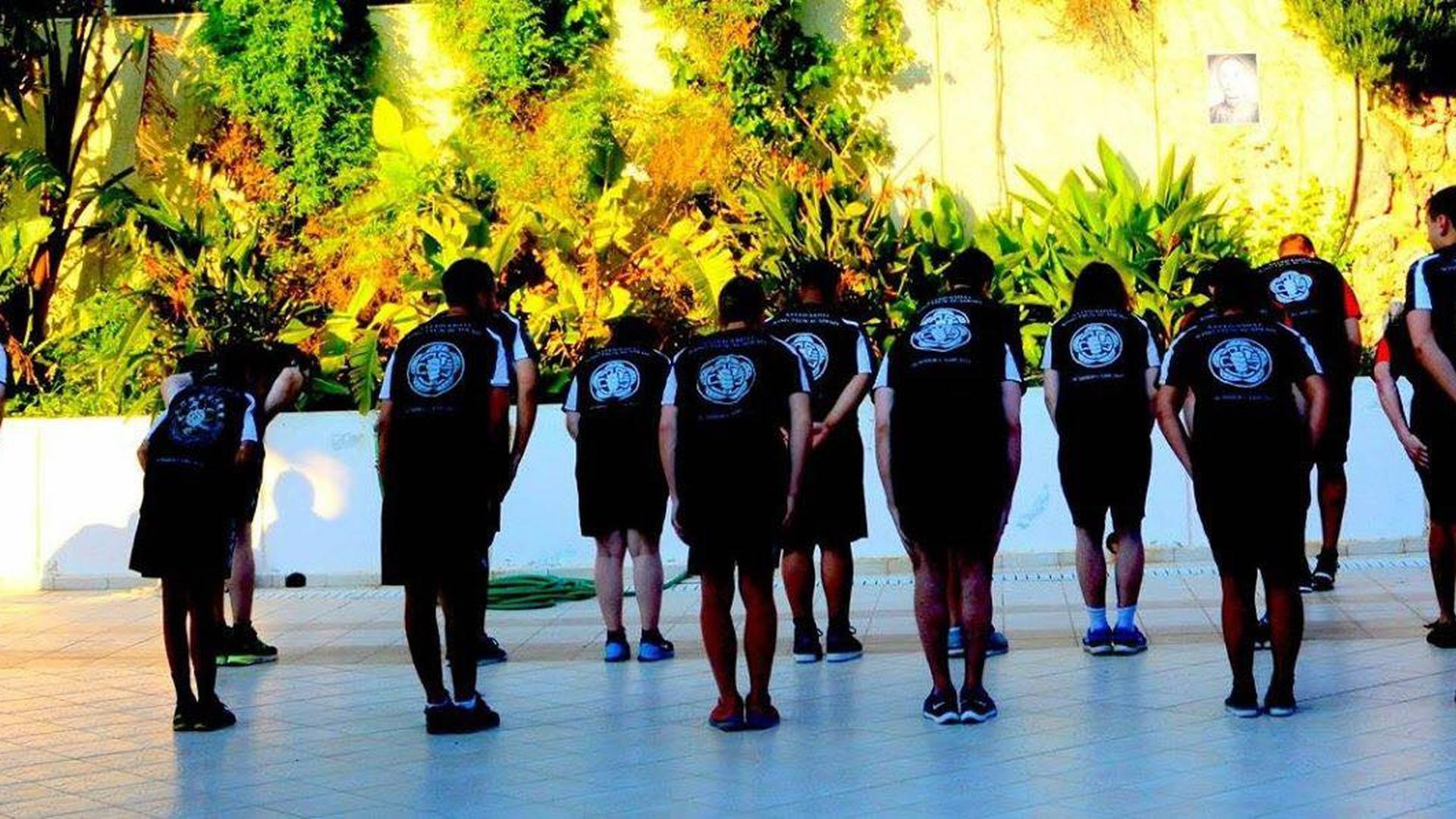 Dulwich Wing Tsun Academy photo