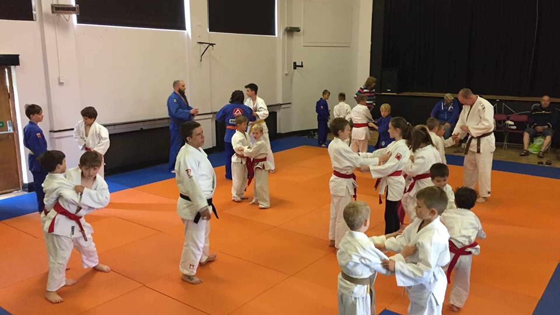 Phoenix Judo Club photo