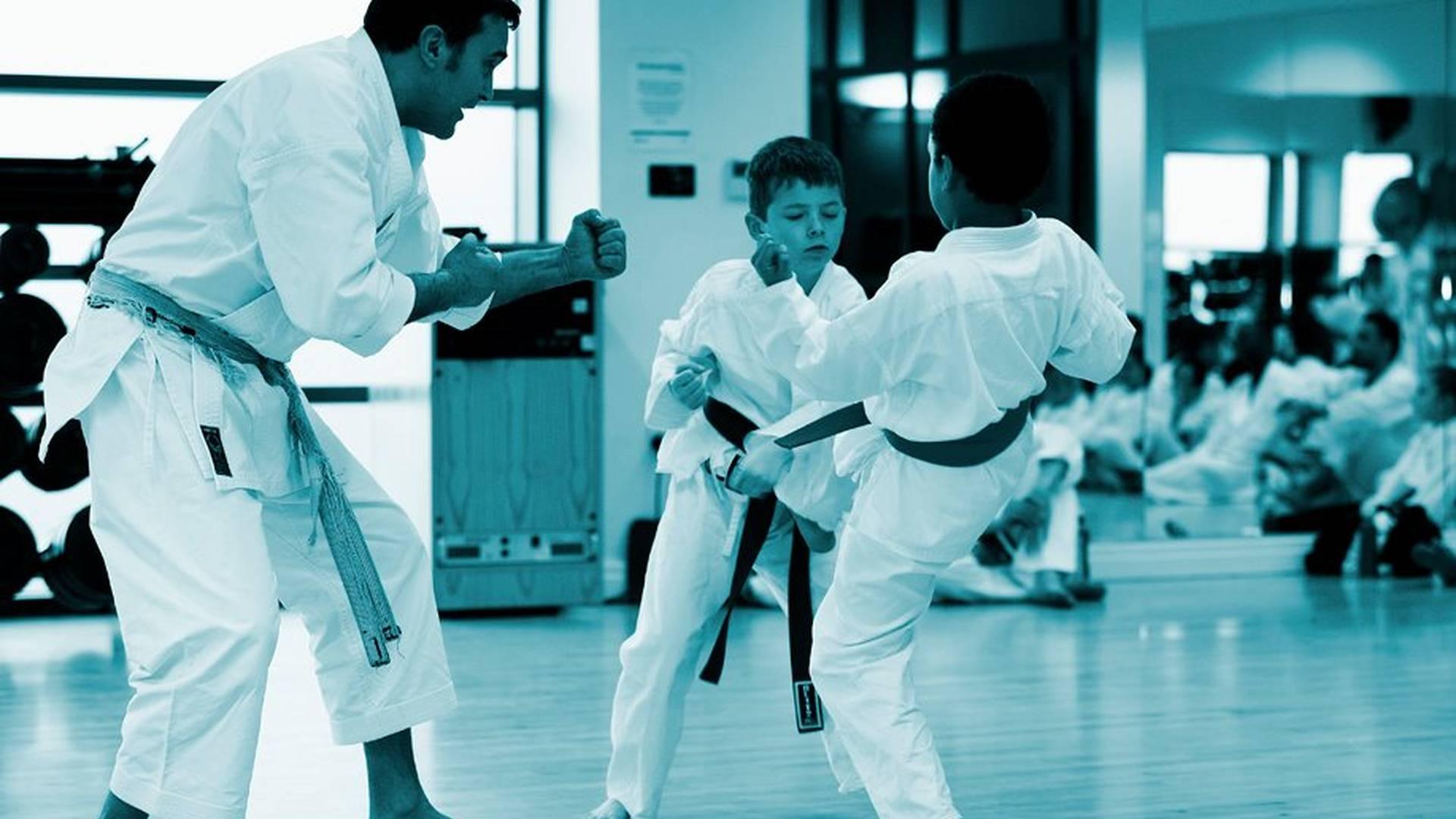 Stockport Shotokan Karate photo