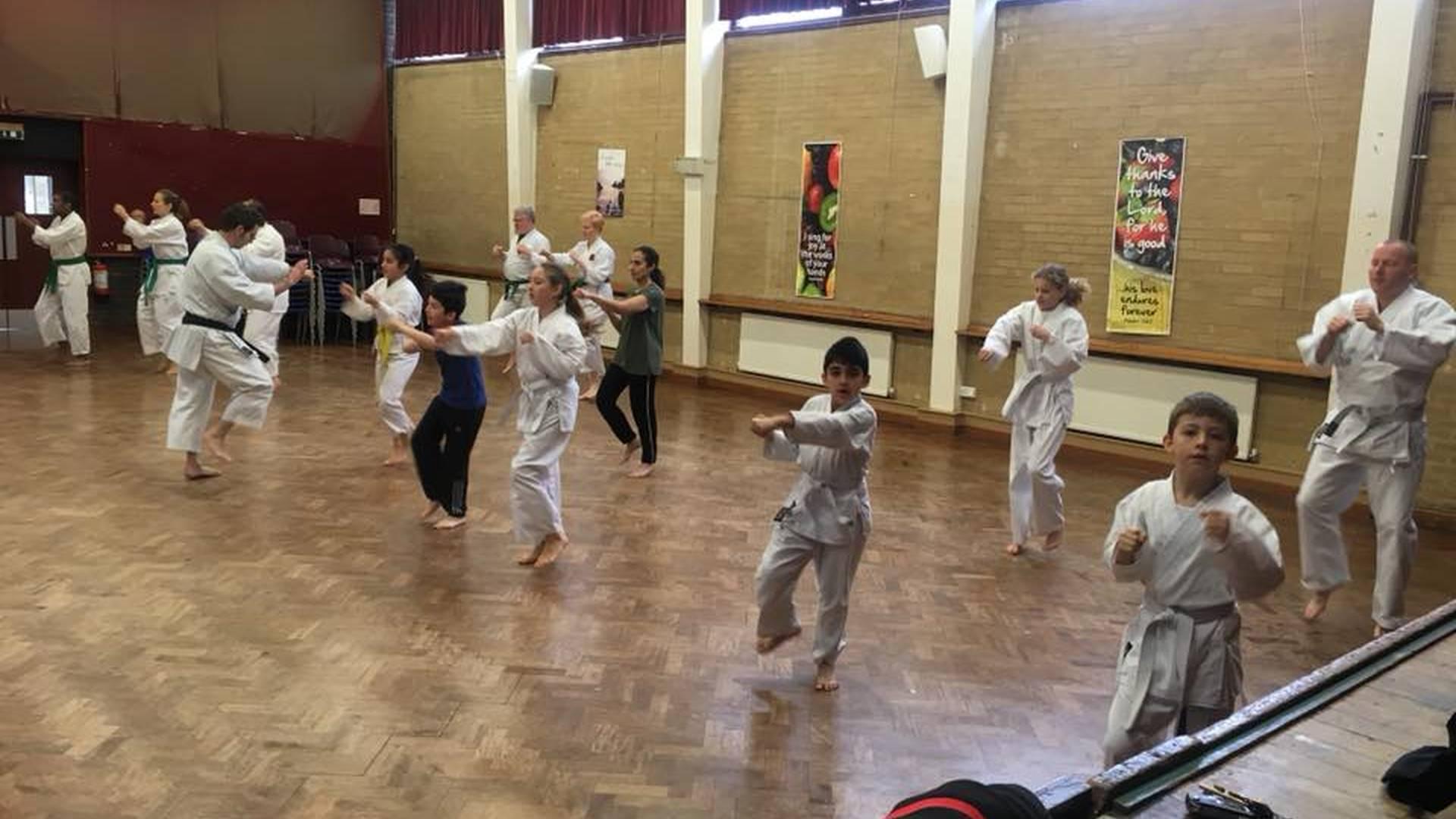 Hanwell Karate Club photo