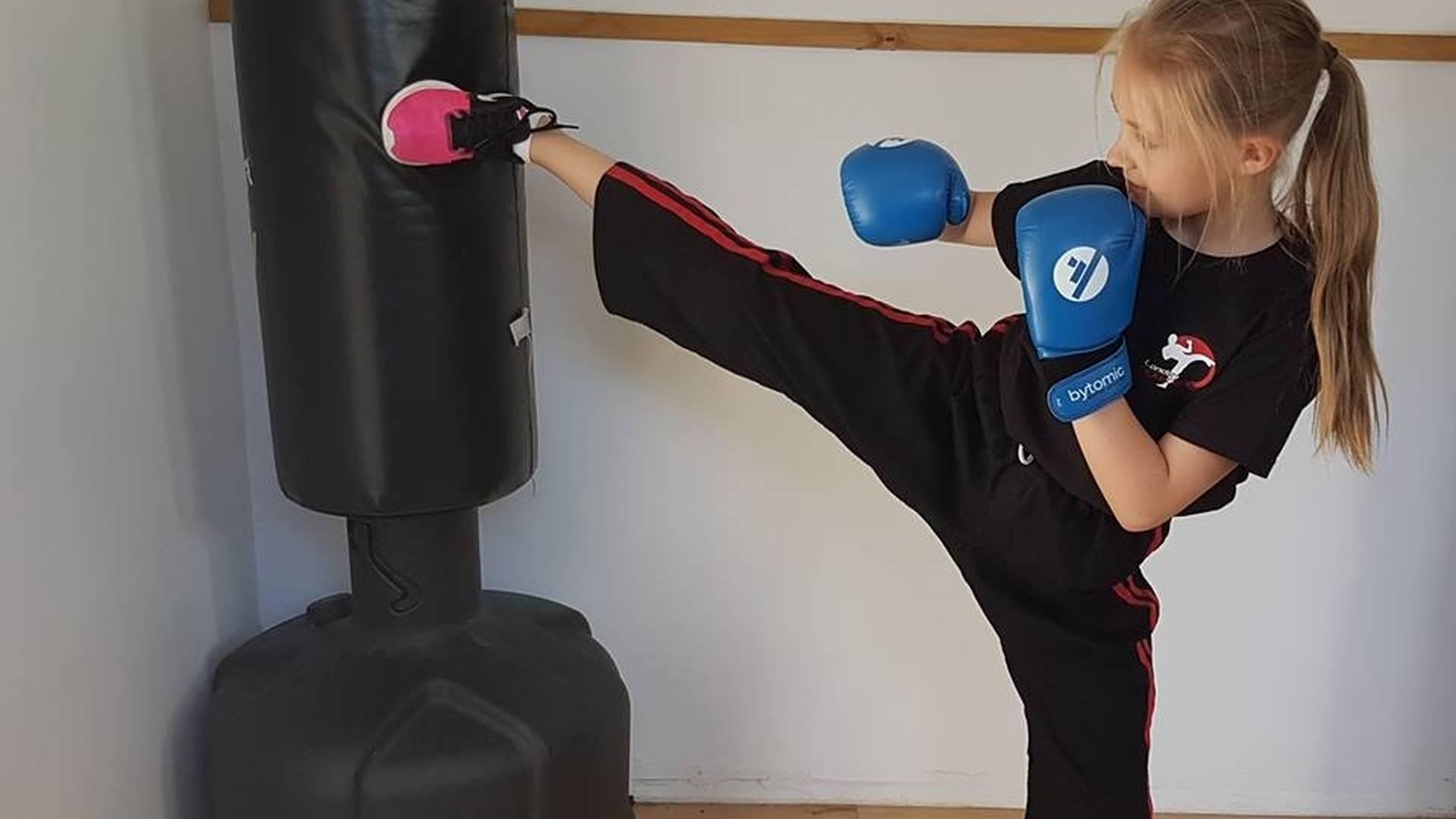 BL Martial Arts photo