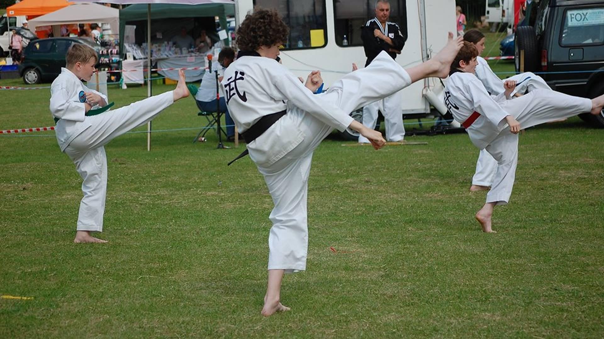 The Red Dragon Taekwondo Club photo