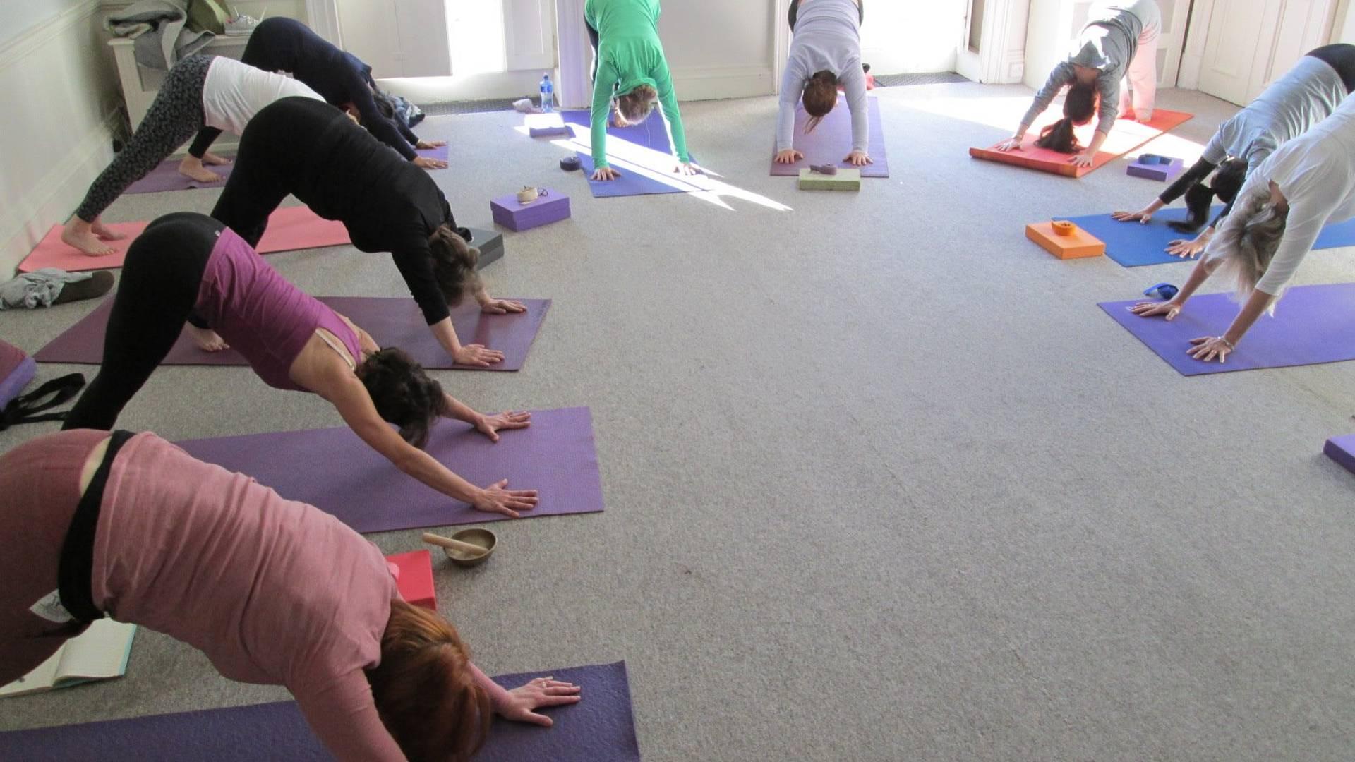 Anna Ferla Yoga photo