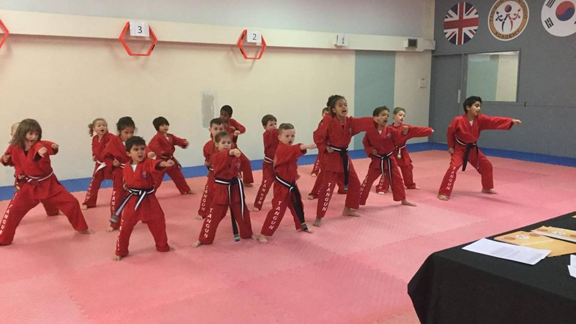 Tangun Taekwondo Academy photo