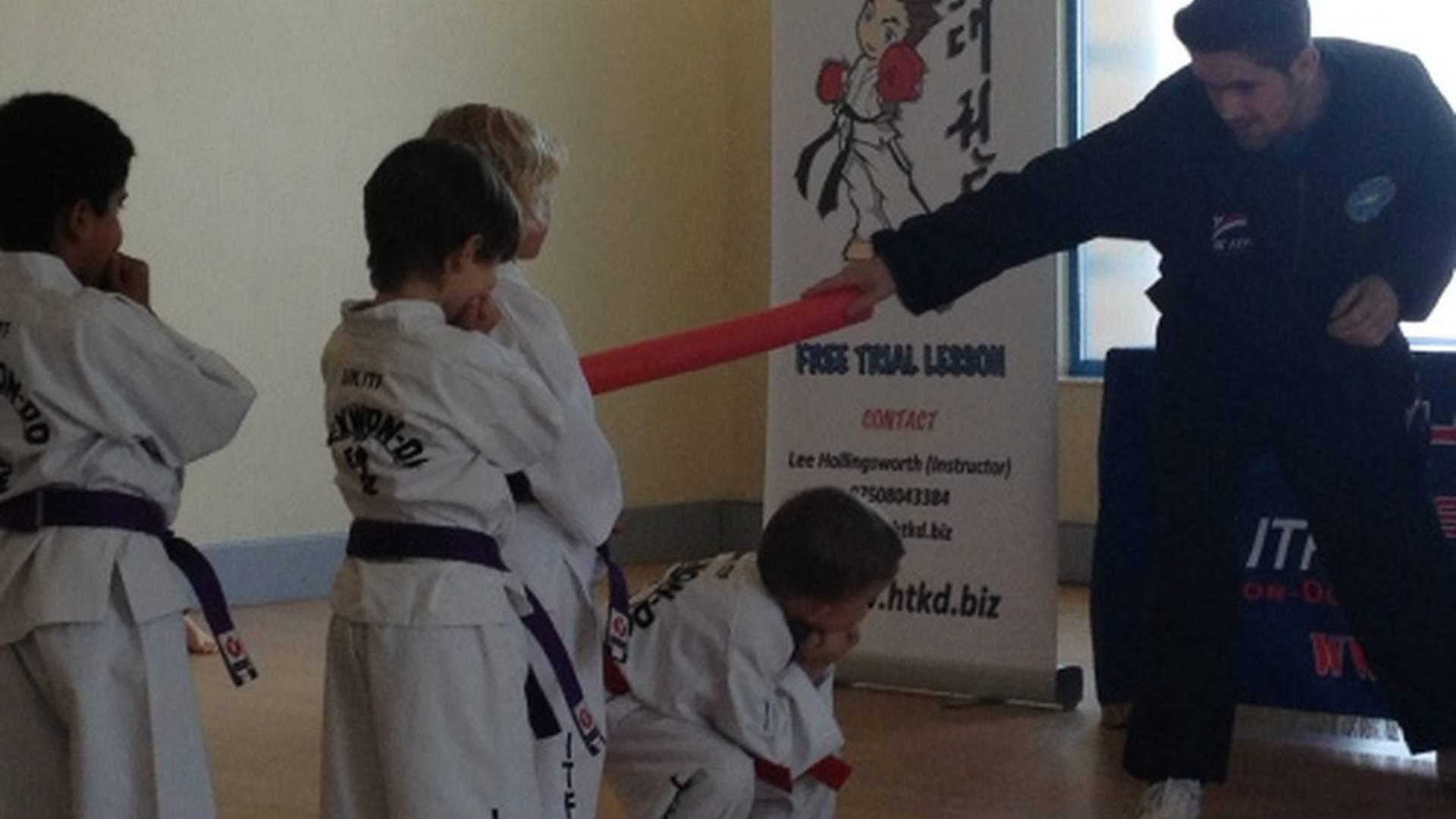 Hollingsworth TaeKwon-Do South Oxhey photo