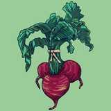City & Country Farmers' Markets logo