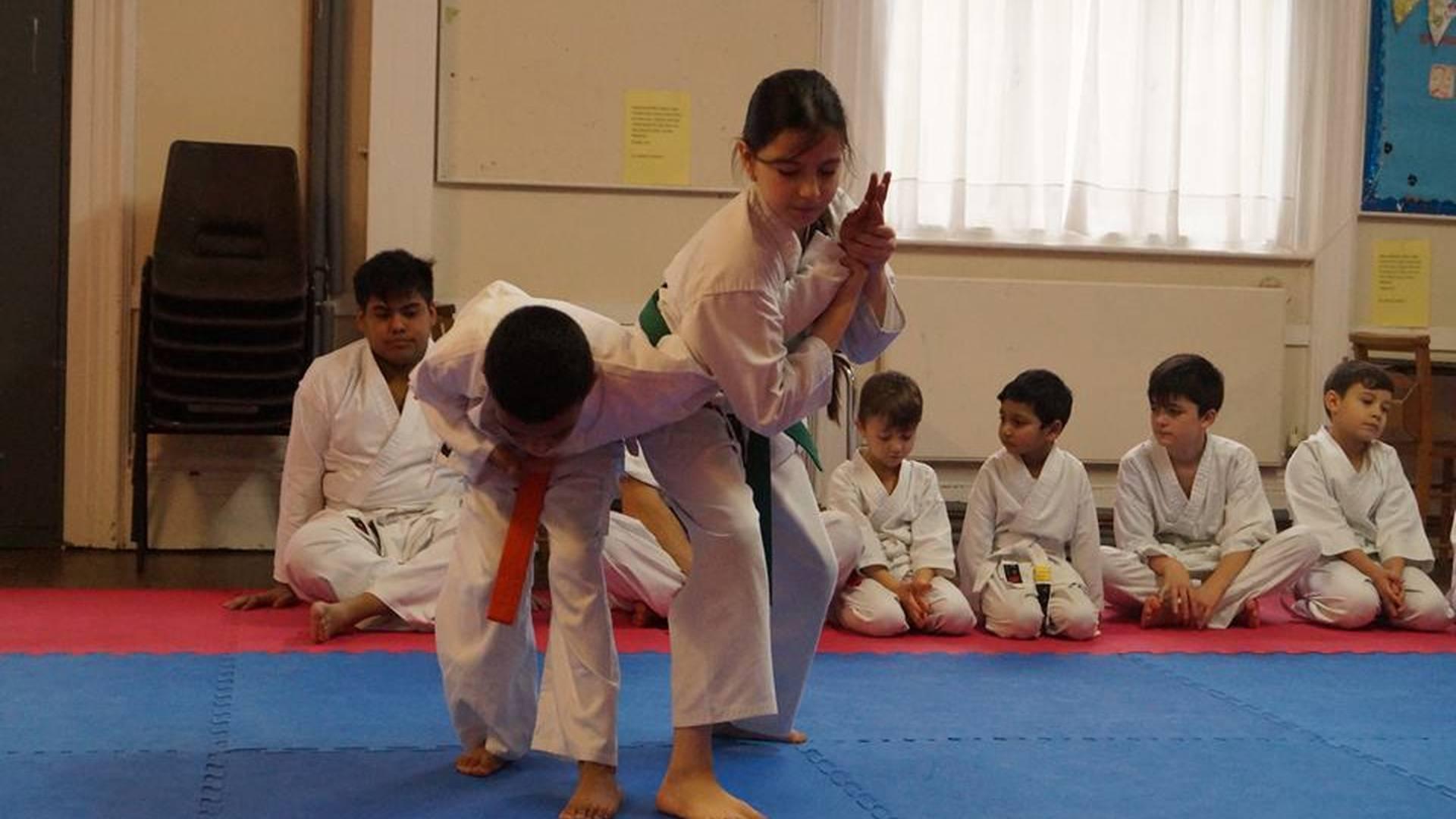 Peaceful Warriors Aikido Club photo