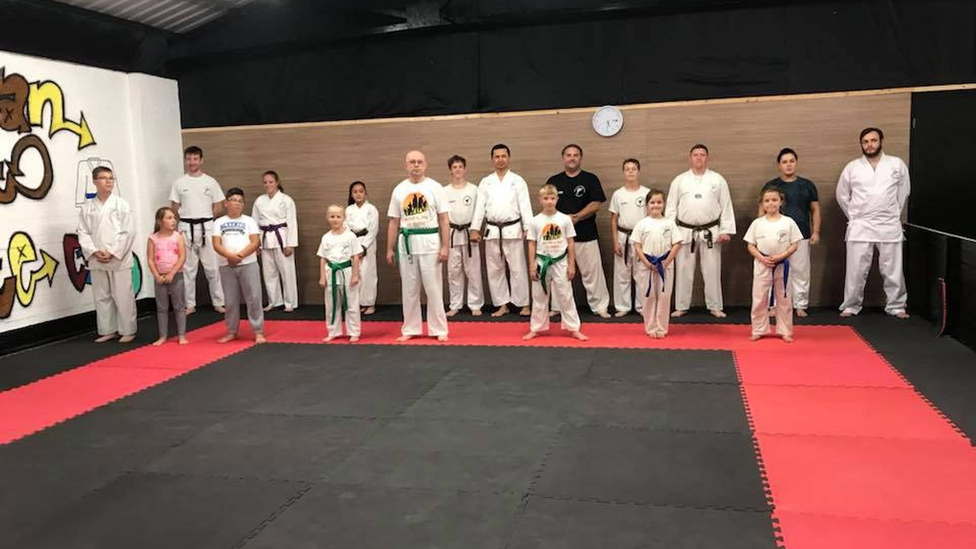 Vulcan Shigaisen Karate Club photo