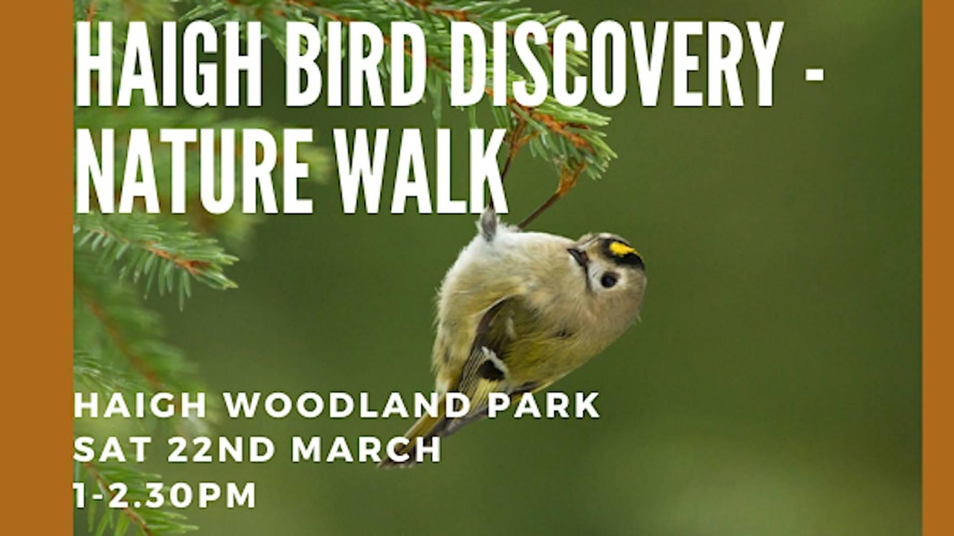 Haigh Bird Discovery - Nature Walk photo