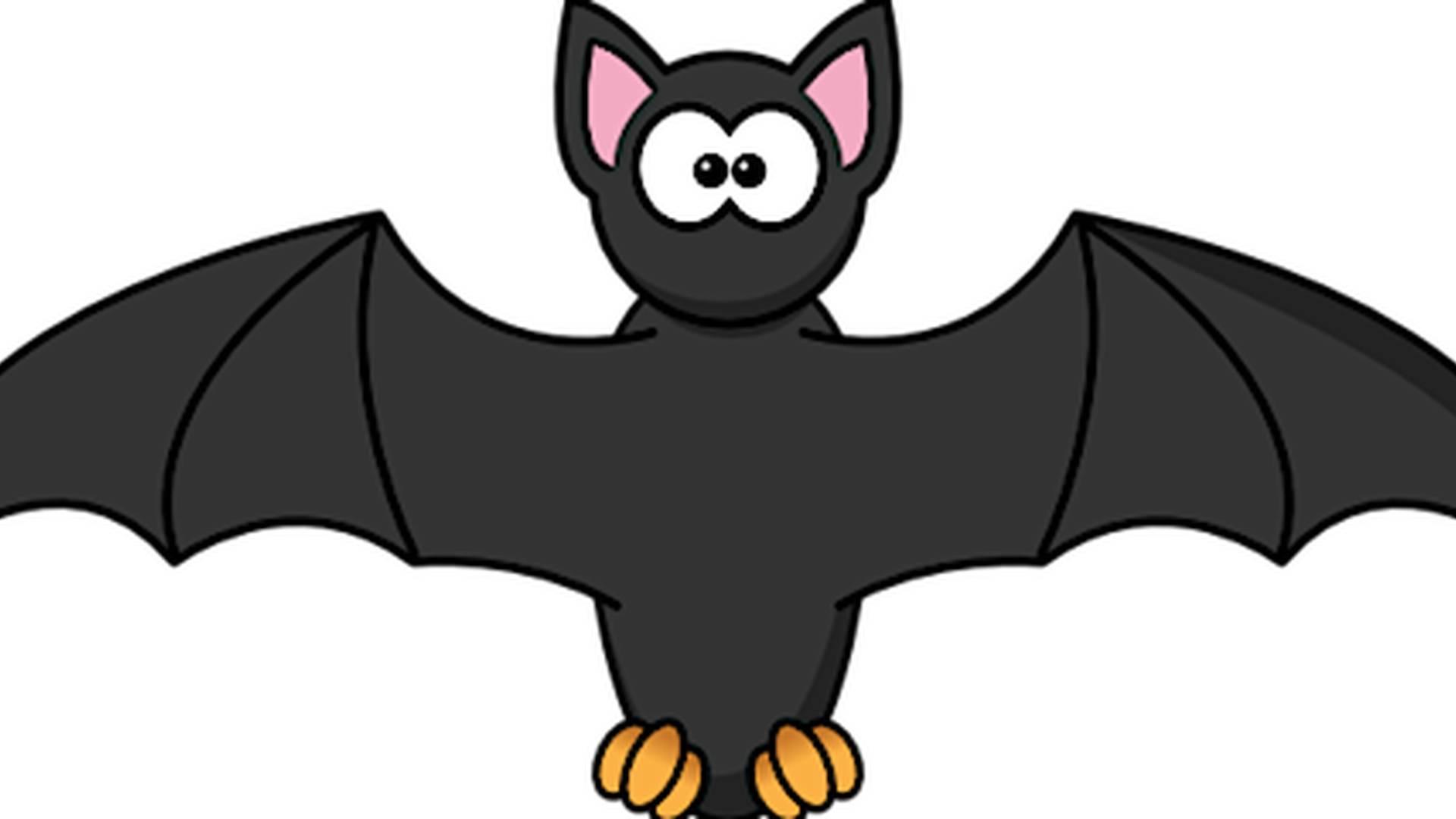 Bats of Stoke Park photo