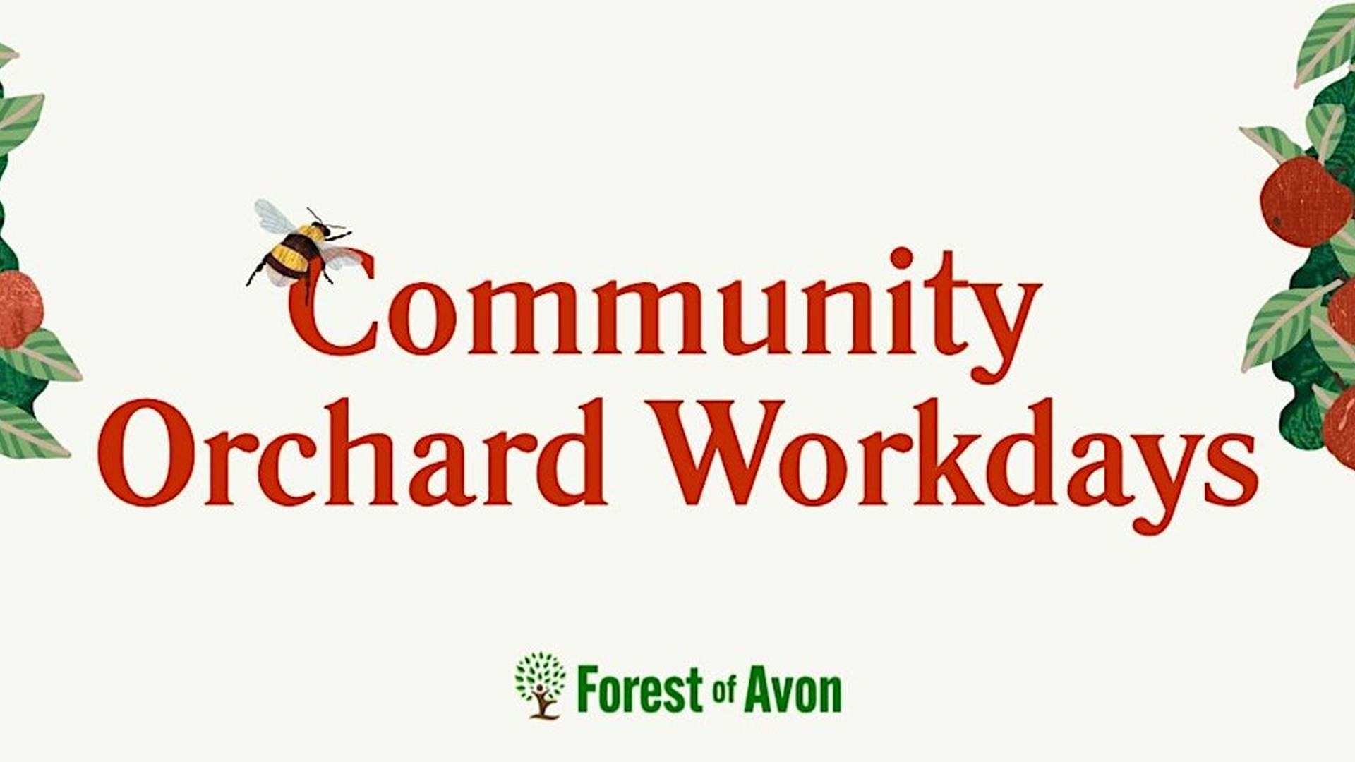 Winter Fruit tree pruning at The Daisy Field photo