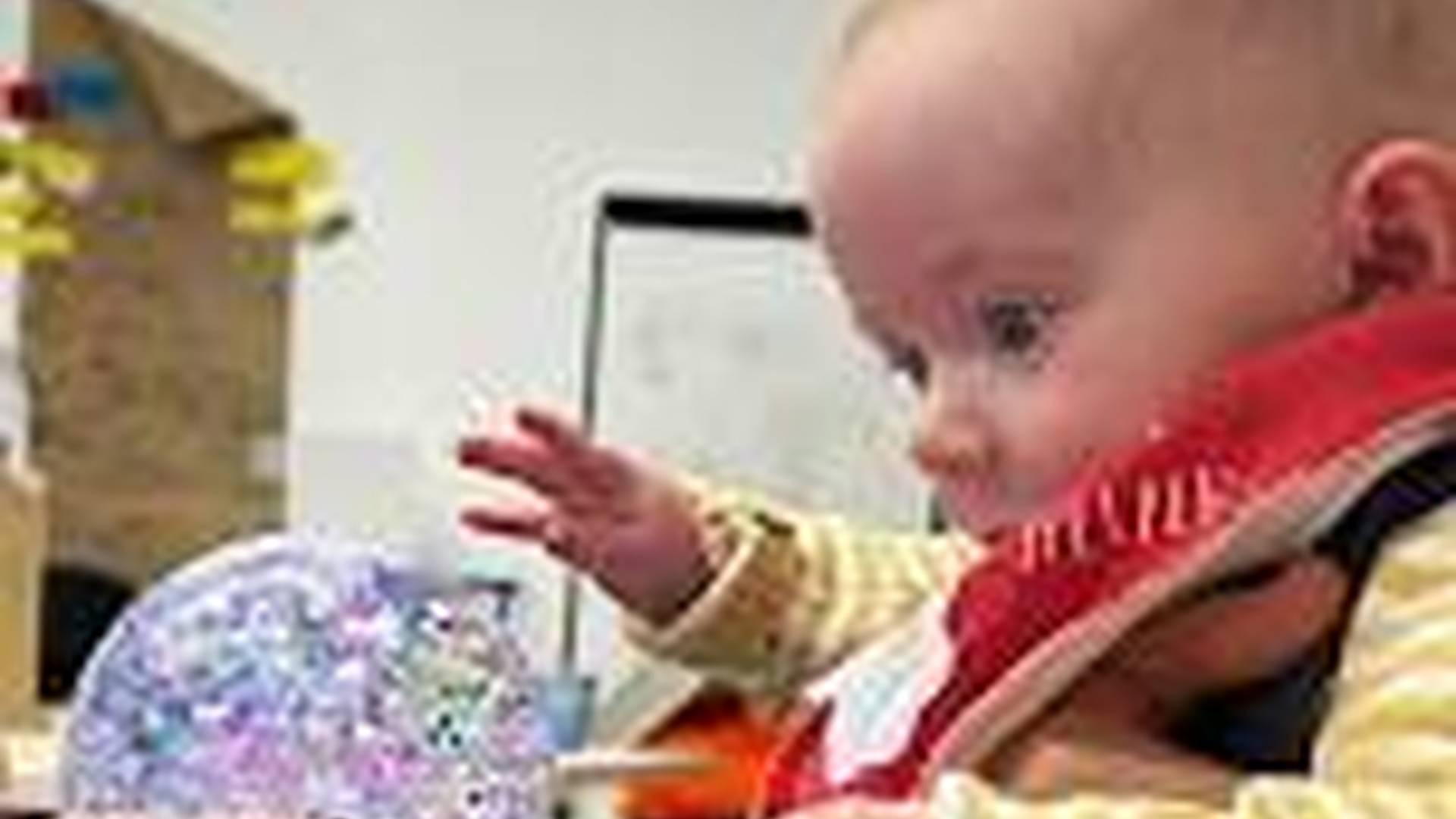 Little Niblicks photo