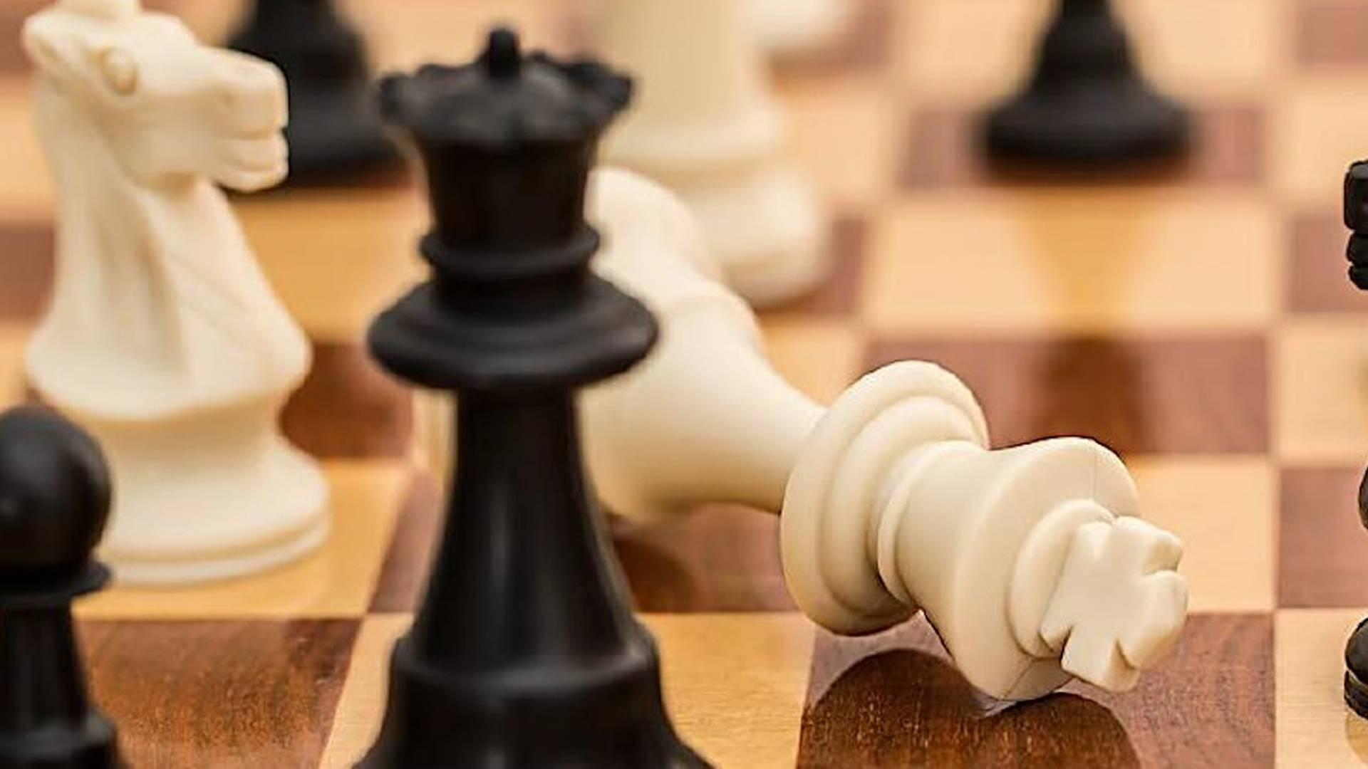 Chess at Paddington Library photo
