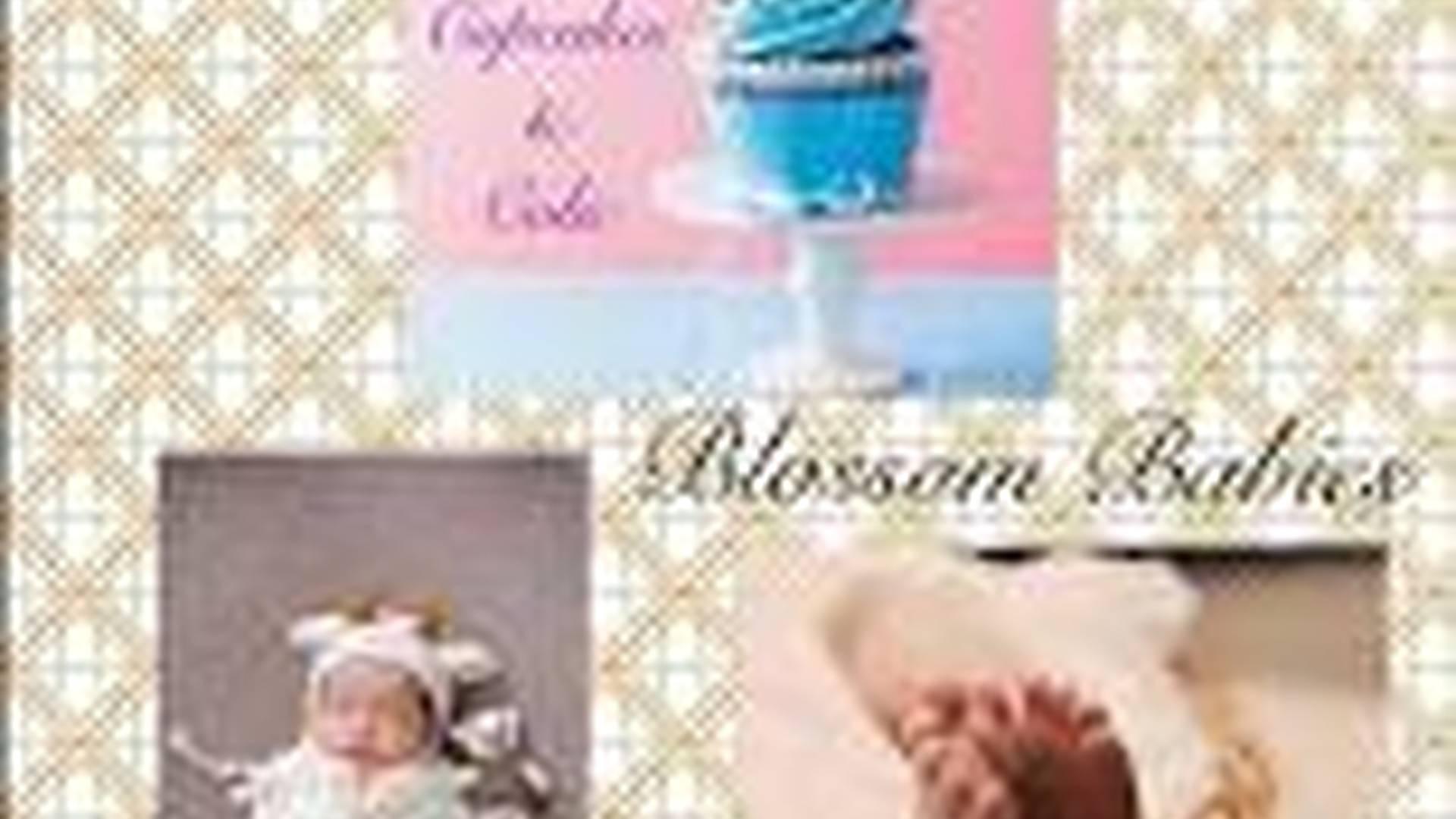 Blossom Babies Cupcakes & Colic session photo