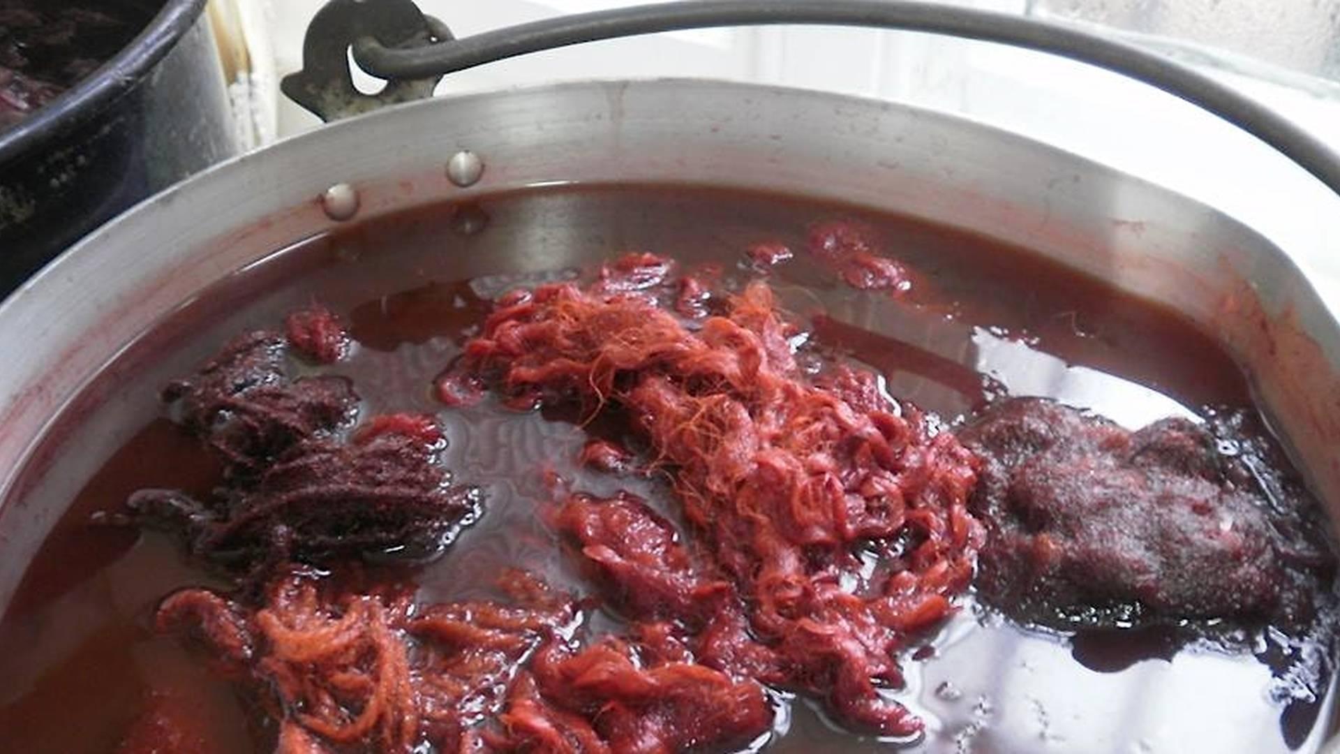 Natural Dyes Workshop photo