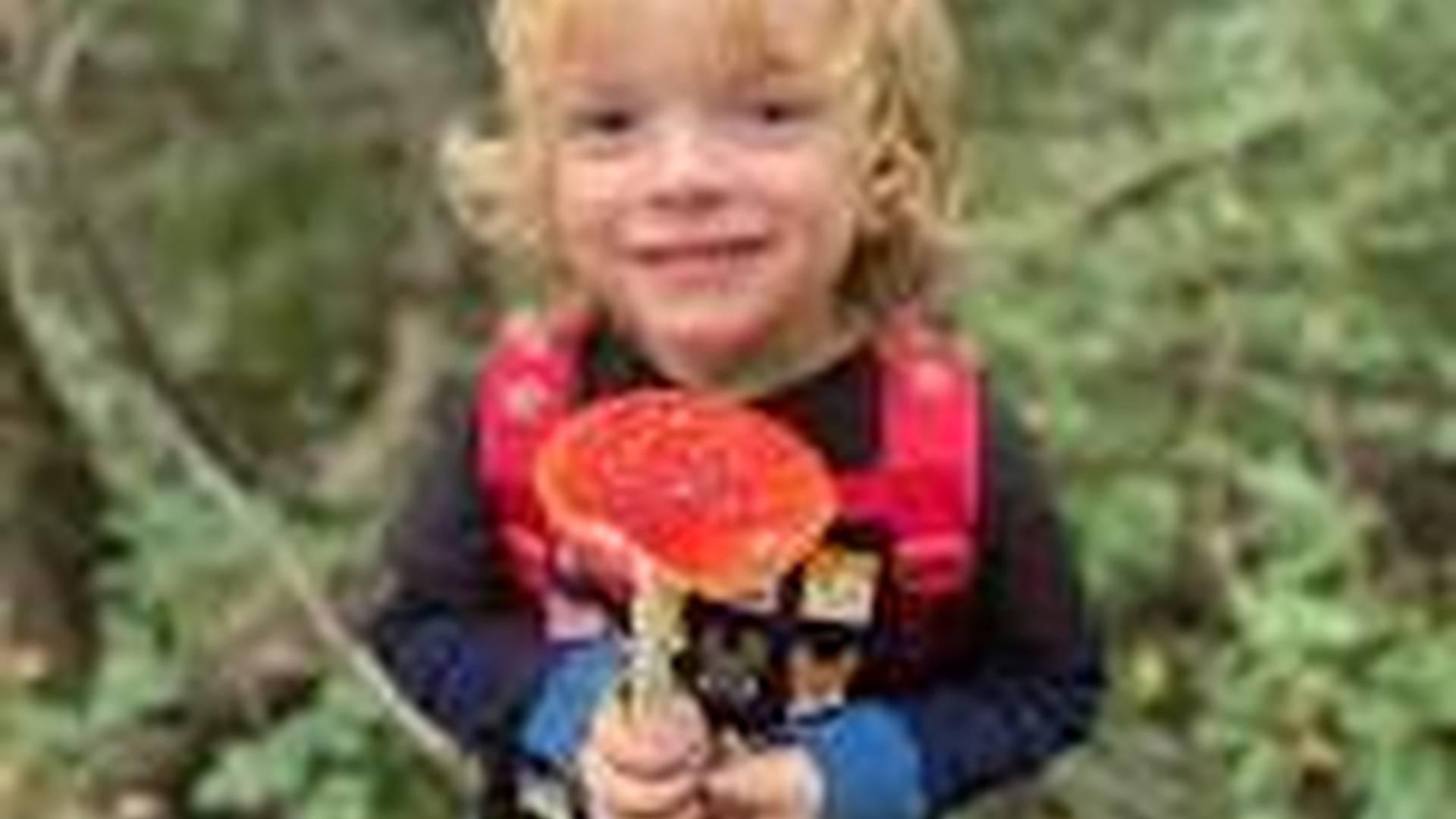 Home-Ed Foraging Workshop for Kids photo