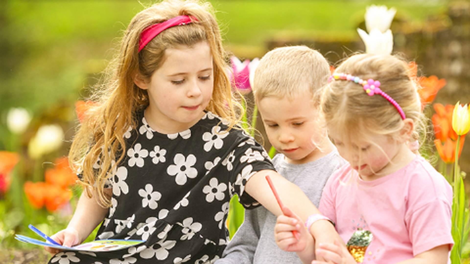 Easter Quest At Framlingham Castle photo