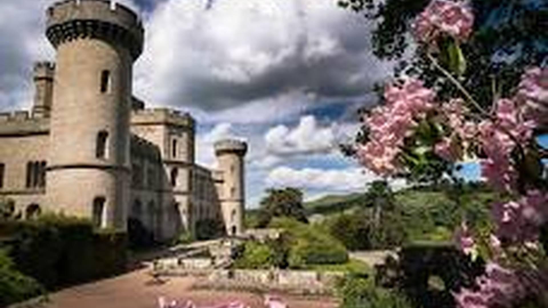 Wildplay at Eastnor Castle photo