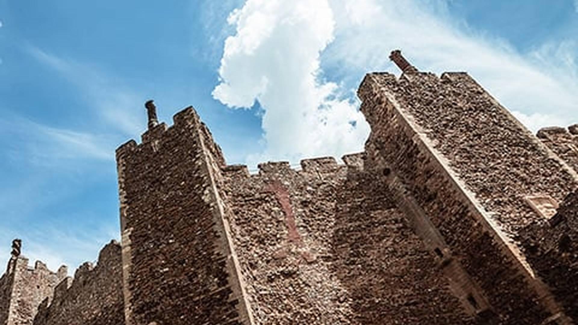 Members' Week: photo