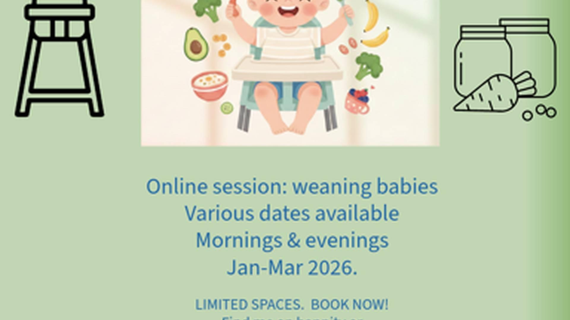 First bites club (weaning workshop) photo