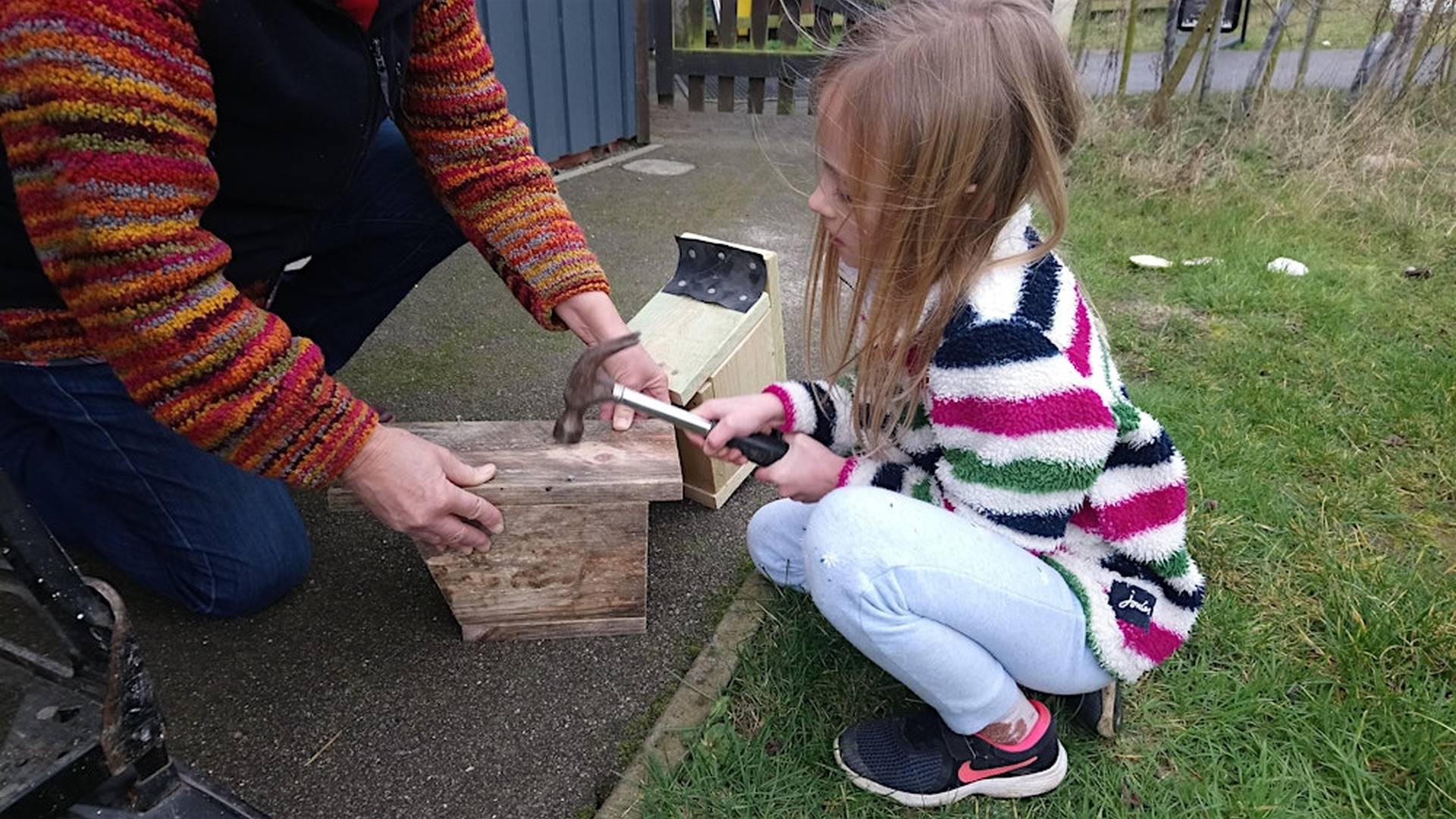 Abberton Home Education Birds photo