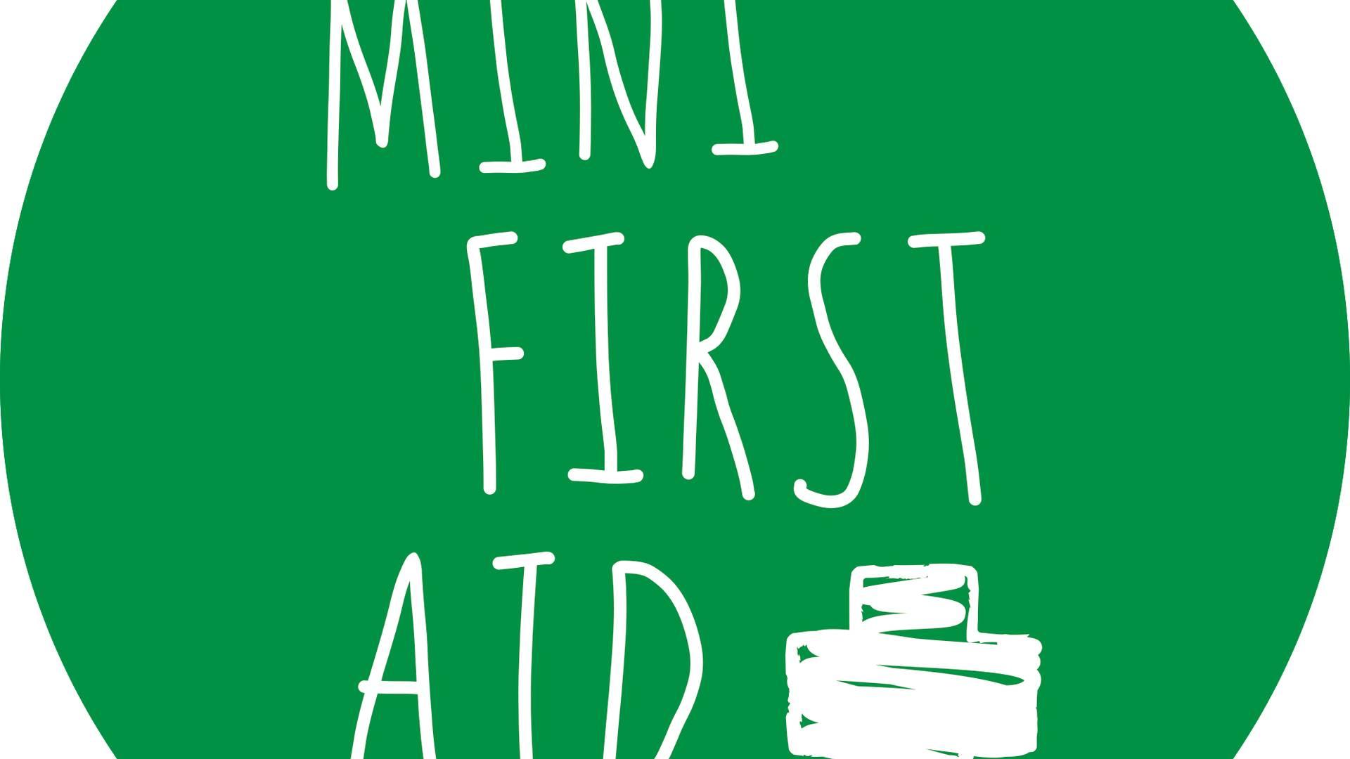 Mini First Aid Early Years (3-6 year olds) photo