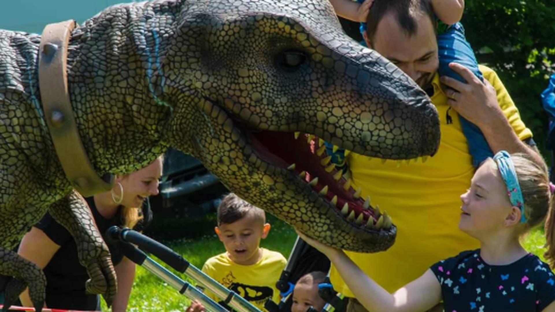 Roarsome Dino Fun Day photo